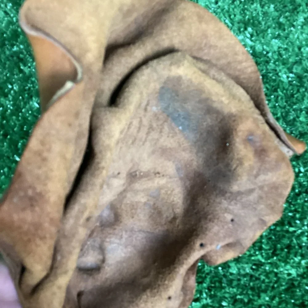 Leather Mask Face Sculpture Wall Art